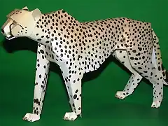 Cheetah (Papercraft) By Pendragon