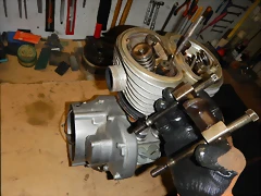 DSCN0154 DSCN0154
