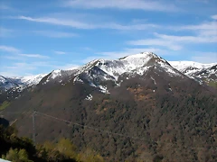 DSCN8685 DSCN8685
