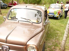 P1070376 P1070376