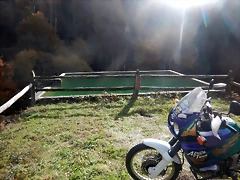 DSCN3150 DSCN3150