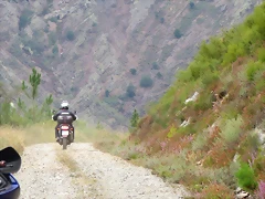 IMG_4586 IMG_4586