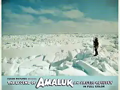 amaluk