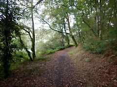 DSCN3740