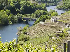 ribeira_sacra_9069_630x