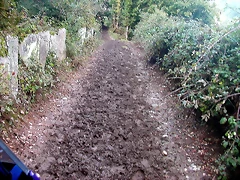 DSCN5372 DSCN5372