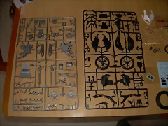 DSCN3004 DSCN3004