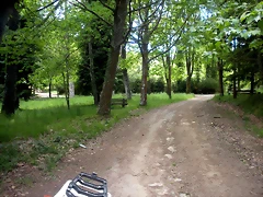 DSCN5340 DSCN5340
