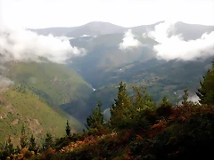 DSCN0100 DSCN0100