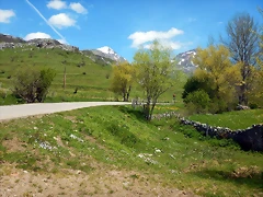DSCN9770