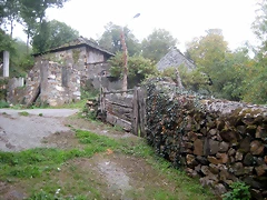 IMG_0391 IMG_0391