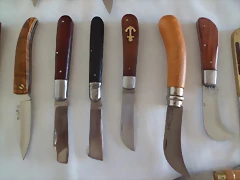 SAM_0745 SAM_0745