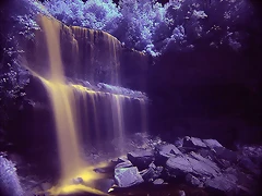 infraredphotography3