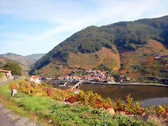 DSCN0576 DSCN0576
