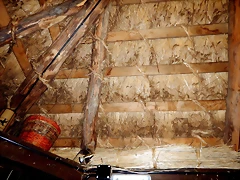 DSCN8423 DSCN8423