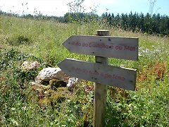 DSCN2096