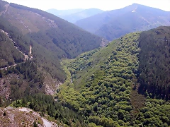 DSCN2098