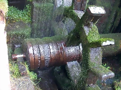DSCN6760