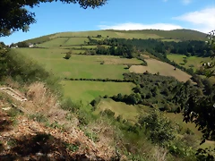 DSCN3193 DSCN3193