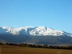 bonito bonito