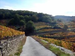 DSCN9824 DSCN9824