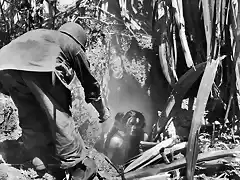 Un marine americano ayudando a salir de un agujero a una mujer de una de las islas del Pacfico que sufrieron en la WWII
