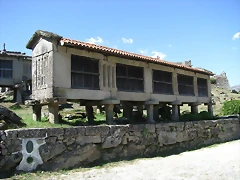 IMG_4978 IMG_4978