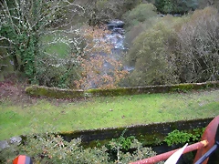 DSCN5937 DSCN5937