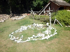 DSCN8384 DSCN8384