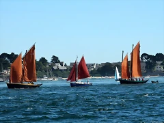 IMG_2602 (Copier) IMG_2602 (Copier)