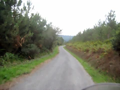 IMG_0502 IMG_0502