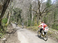 R0012391 R0012391