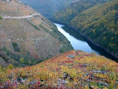 DSCN6564