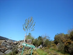 DSCN4438 DSCN4438