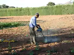 Pedro fumigando, marca