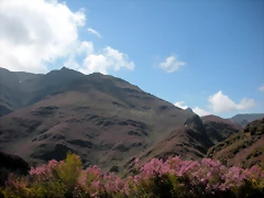 DSCN3968 DSCN3968