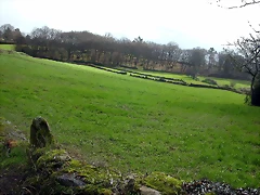 DSCN7340 DSCN7340