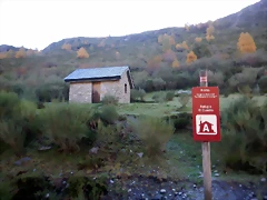 DSCN1342 DSCN1342