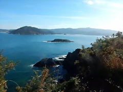 DSCN3085 DSCN3085