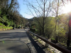 IMG_0259 IMG_0259