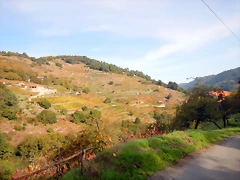 DSCN0558 DSCN0558