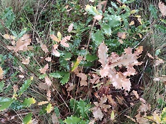 IMG_20210109_162959