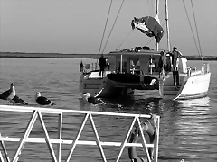 P1070862 P1070862