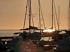 P1070865 P1070865