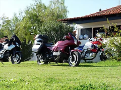 P1070886 P1070886