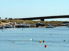 P1070804 P1070804