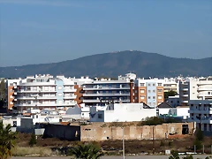 P1070877 P1070877