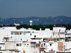 P1070878 P1070878