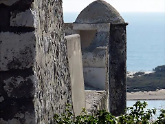 P1070898 P1070898