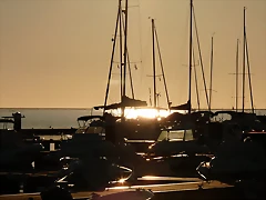 P1070848 P1070848